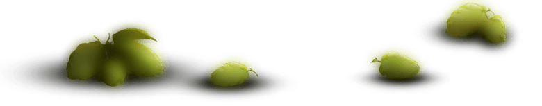 beer-hop-table-min.png
