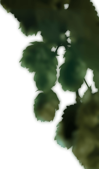 hop-right-min-1.png