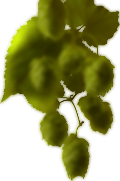 hop-right-min.png