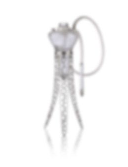 sepia4-coralica.png